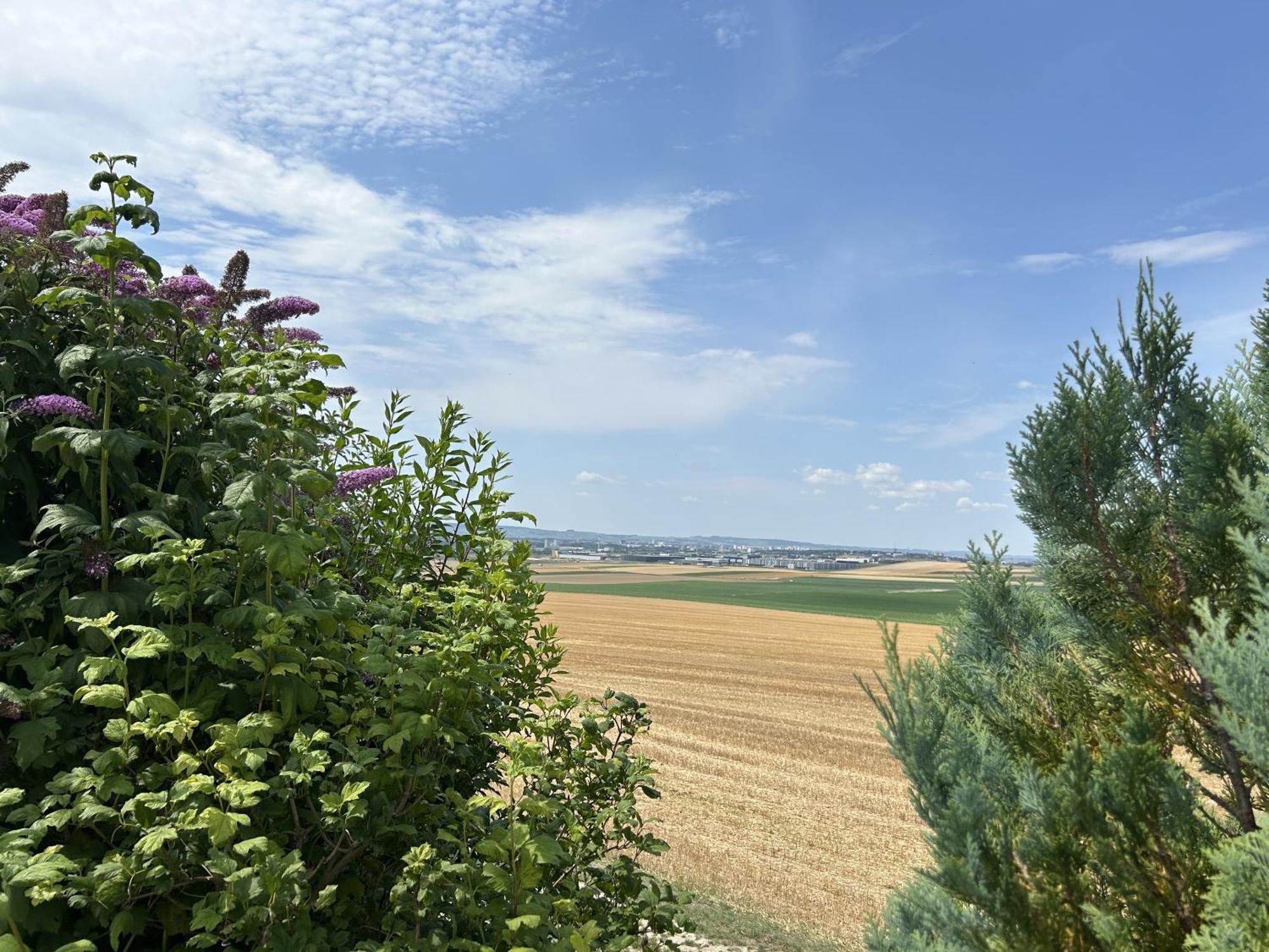 L'Intemporel Cernay-les-Reims Exterior photo